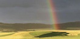 How biotech shapes climate-smart agriculture in Asia and Australasia